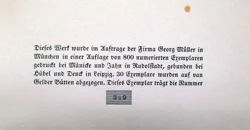 Anna Croissant-Rust Der Tod 1914  17 Zeichnungen von Willi Geiger & 17 Bilder