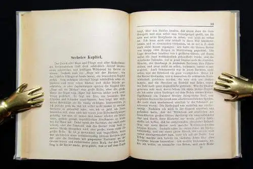 Fournier "Mein Jagdrevier" Winke aus der Praxis und für die Praxis 1909 Wild