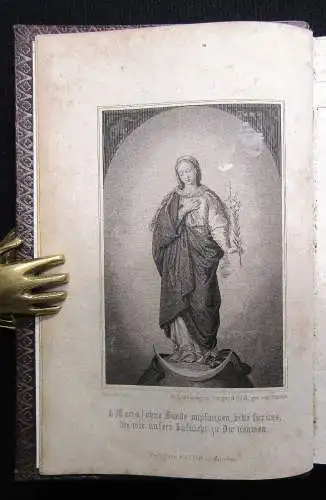 Lasausse Das geheiligte Jahr Denksprüche, Lehren u. Beispiele der Heiligen 1861