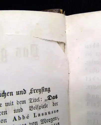 Lasausse Das geheiligte Jahr Denksprüche, Lehren u. Beispiele der Heiligen 1861