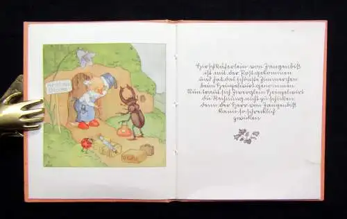 Ida Bohatta-Morpurgo Der Heizelwirt 1933 Kinderbuch Sütterlin Bilderbuch