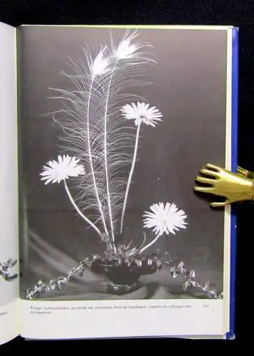 Grunert 3er Konvolut Zimmerpflanzen,Das große Blumenzwiebelbuch,Gerbera