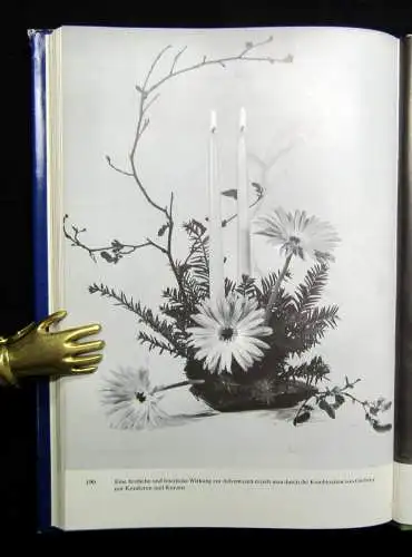 Grunert 3er Konvolut Zimmerpflanzen,Das große Blumenzwiebelbuch,Gerbera
