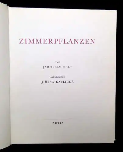 Grunert 3er Konvolut Zimmerpflanzen,Das große Blumenzwiebelbuch,Gerbera