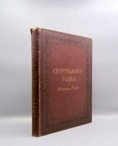 Müller, Pabst Cryptogamen-Flora Abbildung und Beschreibung Flechten, Pilze 1874
