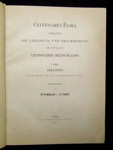Müller, Pabst Cryptogamen-Flora Abbildung und Beschreibung Flechten, Pilze 1874