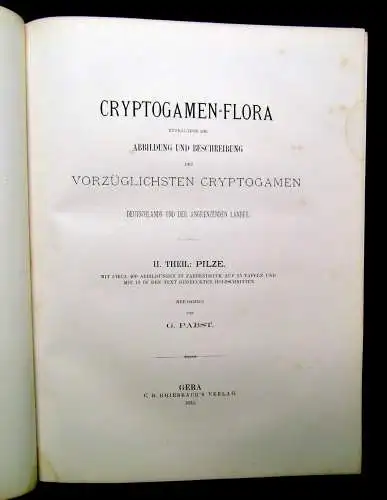 Müller, Pabst Cryptogamen-Flora Abbildung und Beschreibung Flechten, Pilze 1874