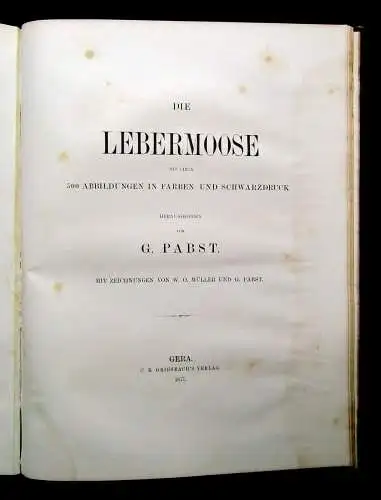 Müller, Pabst Cryptogamen-Flora Abbildung und Beschreibung Flechten, Pilze 1874