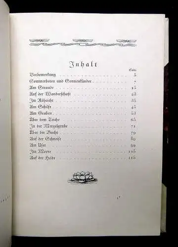 Löns, Hermann Wasserjungfern Geschichten von Sommerboten und Sonnenkündern 1919