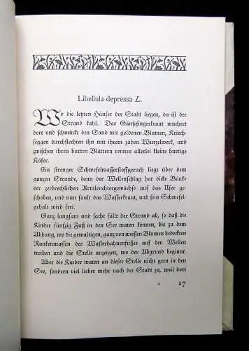 Löns, Hermann Wasserjungfern Geschichten von Sommerboten und Sonnenkündern 1919