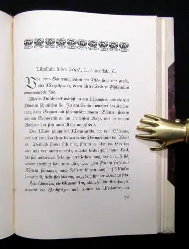Löns, Hermann Wasserjungfern Geschichten von Sommerboten und Sonnenkündern 1919