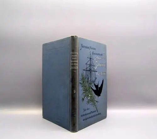 Hirschberg Neunzehn Monate Kommandant S.M. Kreuzer"Schwalbe" 1895 selten