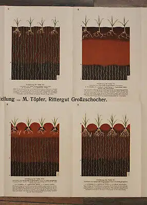 Töpfer Bodenbearbeitung und Saatenpflege um 1900 Vortrag Landwirtschaft sf