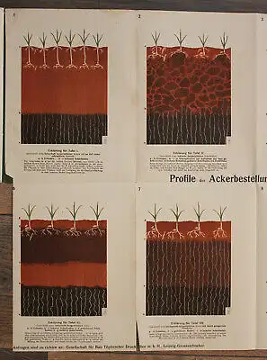 Töpfer Bodenbearbeitung und Saatenpflege um 1900 Vortrag Landwirtschaft sf