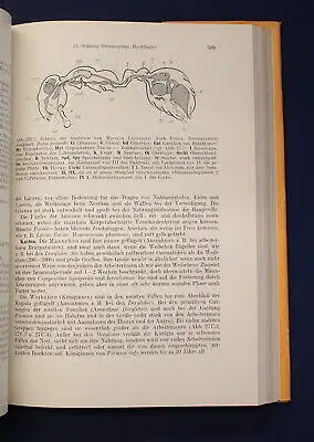 Kaestner Lehrbuch der speziellen Zoologie 1973 Band 1: Wirbellose 3. Teil js