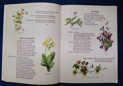 Koenneritz Auf blumiger Au um 1920 Pflanzenbilder mit Versen Frakturschrift js