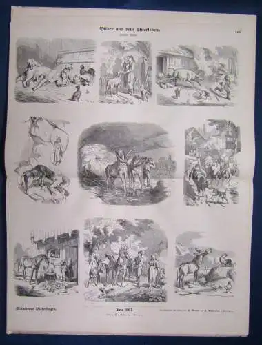 Münchener Bilderbogen 12 Band Nr. 265- 288 um 1890 Geschichte Belletristik js