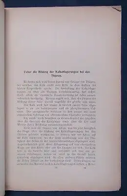 Hilaire Untersuchungen über den Stoffwechsel in Zelle und Geweben 1904  js