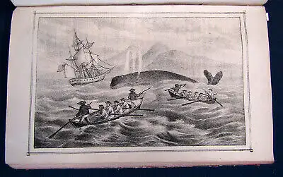 Storch Fahrten und Abenteuer zu Land und zur See von Christian Beck 1860 sf