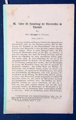 Schüppel III. Ueber die Entstehung der Riesenzellen im Tuberkel 1871 Studium js