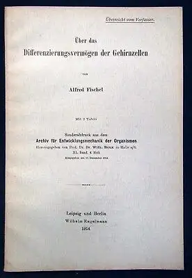 Fischel Über das Differenzierungsvermögen der Gehirnzellen 2 Tafeln 1914  js