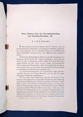 Schreiner Neue Studien über Die Chromatinreifung der Geschlechtszellen 1907 js