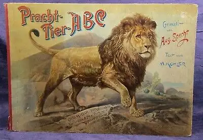Specht Pracht- Tier ABC 1890 seltene Prachtausgabe in Querfolio Wissen Kinder js