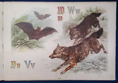 Specht Pracht- Tier ABC 1890 seltene Prachtausgabe in Querfolio Wissen Kinder js