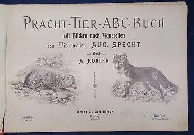 Specht Pracht- Tier ABC 1890 seltene Prachtausgabe in Querfolio Wissen Kinder js