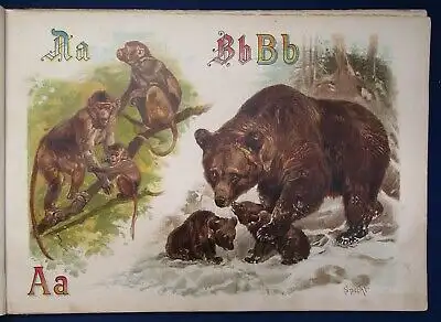 Specht Pracht- Tier ABC 1890 seltene Prachtausgabe in Querfolio Wissen Kinder js