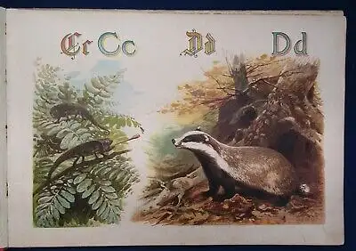 Specht Pracht- Tier ABC 1890 seltene Prachtausgabe in Querfolio Wissen Kinder js