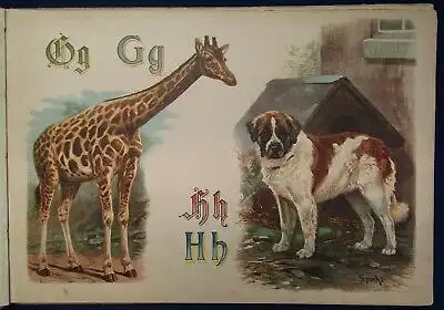Specht Pracht- Tier ABC 1890 seltene Prachtausgabe in Querfolio Wissen Kinder js