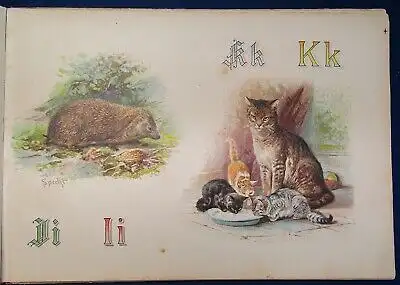 Specht Pracht- Tier ABC 1890 seltene Prachtausgabe in Querfolio Wissen Kinder js