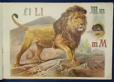 Specht Pracht- Tier ABC 1890 seltene Prachtausgabe in Querfolio Wissen Kinder js