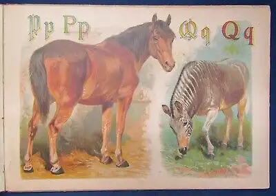 Specht Pracht- Tier ABC 1890 seltene Prachtausgabe in Querfolio Wissen Kinder js