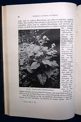 Naumann Im Reiche der Kamera " Photographischer Zeitvertrieb" 249 Abb. 1912 js