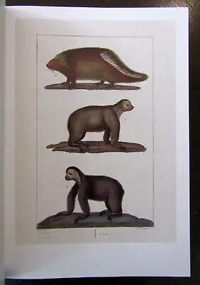 Histoire Naturelle Generale et Particuliere 2009 Bildband Folioausgabe Wissen js