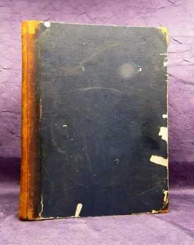 Metropolitan Improvements or london in the Nineteenth Century 1831 Ortskunde js