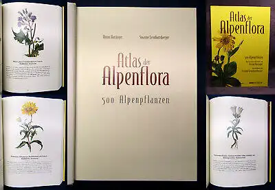 Leonhartsberger Atlas der Alpenflora 2003 Botanik Natur Pflanzen Biologie mb