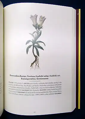 Leonhartsberger Atlas der Alpenflora 2003 Botanik Natur Pflanzen Biologie mb