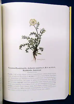 Leonhartsberger Atlas der Alpenflora 2003 Botanik Natur Pflanzen Biologie mb
