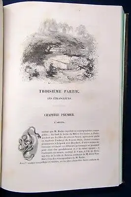 Eugene Sue Le Juif Errant " Der ewige Jude" 1845 4 Bde. illustriert Literatur js