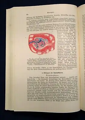 Borst Pathologische Histologie ein Unterrichtskurs für Studierende 1950 js