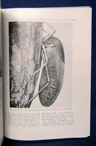 Ring 4 Monatshefte der Buchgemeinde 1936-37 Belletristik Literatur Lyrik js