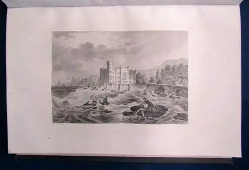 Meyers Universum Ein Jahrbuch für Freunde der Natur und Kunst 1862 Großoktav js 