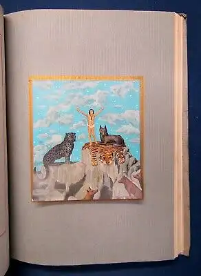 Il Libro Della Jungla ( The Jungle Book) 1928 Bildband Geschichten Erzählungen j