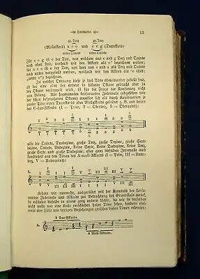 Riemann Große Kompositionslehre 2 Bde.(v.3) Homophon, Polyphon 1902  js