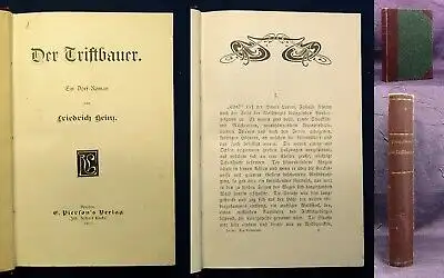 Heinz Der Triftbauer Ein Dorf-Roman seltene EA 1905 Erzählungen Belletristik js