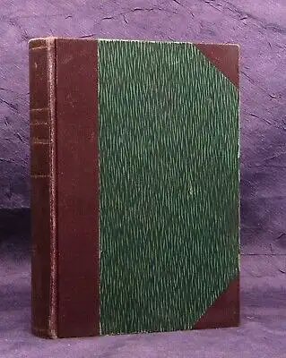 Heinz Der Triftbauer Ein Dorf-Roman seltene EA 1905 Erzählungen Belletristik js