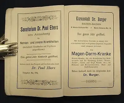 Schnarchs Führer von Baden-Baden und dem Schwarzwald um 1900 Ausflüge js
